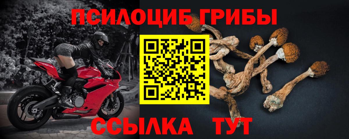 Галлюциногенные грибы MAGIC MUSHROOMS Трёхгорный